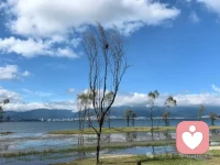 真正的成长不在于从不疲惫，而在于疲惫时依然选择点燃一盏灯，用微光对抗惰性的黑暗，次日焕然新生。