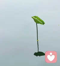 真正的陪伴，不是“我为你解决一切”，而是“我与你一同面对，无论风雨”。