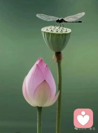 有时，最好的安慰不是言语，而是存在。真正的倾听，是让另一颗心找到回响的空间。配图