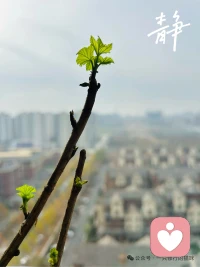 我们需要承认和尊重彼此的独立性。我为我的生命负责，你为你的生命负责，绝不轻易越界。就像两个鸡蛋，都带着自己的壳，你再想跟别的鸡蛋亲近，也只能期望成为“一个篮子里的鸡蛋”，而不能期望成为“同一枚鸡蛋”。如果挨得太近，容易鸡飞蛋打。