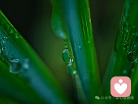 潜意识如同静默的海洋，每一次真诚的问询，都是向内心深处投去的一束属于你本身存在的光。

愿你在日常的缝隙里，依然记得倾听那些细微的属于你的声响——你内在的智慧始终温柔存在，等待与你更从容的相遇。