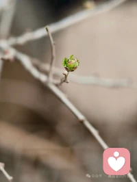 落在生命里的风和光都是好天气


生活并无深意 自己喜欢便是真谛


如果今天很糟糕 那我们还有明天不是吗


该反思的是我们的见识与眼光 不是真诚与善良配图