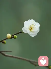 和任何人交往，实力才是硬通货，

人脉只是附属品，不要本末倒置，

你若没有价值，认识谁都没用，

人脉的本质是价值交换，

而不是情感维系，当你强大时，

整个世界都会对你和颜悦色。配图