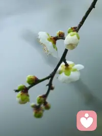 此刻，我真正感受到的情绪是什么？我是否允许自己完整地体验它？
在我的生活中，有哪些选择是我主动做出的？有哪些是我在无意识中“被选择”的？
当我感到孤独时，我能否将这份孤独视为与他人建立更深联结的可能起点？
我所追求的“意义”，有多少是源于我内心真实的渴望，有多少是外界赋予我的期待？
如果剥离所有的社会角色和标签，你的名字背后，那个纯粹的存在本身是什么？配图