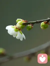 笑在生活，美在善良，乐在知足，福在健康。生活没有完美，幸福没有满分，你可以忙，可以累，但不可以不开心!配图