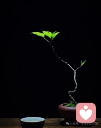 真正的价值，不在于说了什么，而在于默默地积蓄了什么。配图