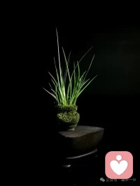 “不想上班是正常的，我的身心正在诚实过渡，这不需要自责。” 
“此刻的疲惫和焦虑，不是我不够好，而是我的生物钟正在努力调整节奏。” 
“允许自己有一周的‘缓冲期’，这周不求高效率，只求‘在状态’。” 
“情绪是信使，不是敌人。接纳当下的低落，它自会流过。”
“从放松到专注，就像汽车启动需要预热，给自己一点预热的时间。”配图