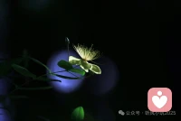 有些事情没必要试探，

感觉不对劲就是不对劲，直觉就是前兆，细节就是答案！配图