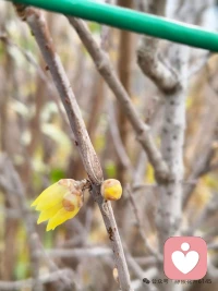 真正的富足，是知道自己真正需要什么，然后勇敢地拒绝不需要的一切配图