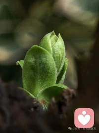 其实人生最珍贵的，从来都不是身外之物。而是健健康康地活着，平平淡淡地过着，开开心心地笑着，踏踏实实地忙着。不被名利裹挟，不被欲望捆绑，饿了有热饭，困了有安榻，身无病痛，心无烦忧——这便是人间最好的光景。配图