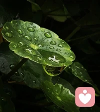 人生最大的荒唐，就是在糟糕的人，糟糕的事上纠缠，它能耗光你所有的正能量。遇到糟糕的人及时抽身，遇到糟糕的事及时止损。配图