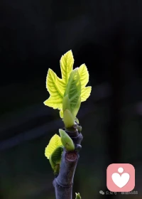 人们多容易盲从权威、迷信定论，将现成观点当作真理，久而久之便丧失了独立思考的能力，沦为他人思想的附庸。
不轻易信奉既定答案，不盲目追随主流声音，对世间万物保持一份审慎的质疑，于疑问中探寻本质，于思辨中破除迷障，这是摆脱愚昧、守住清醒的第一步配图