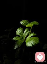 一直向上走，才是对人性之恶最好的反击配图