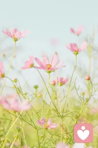 时间里没有救赎。你无法由未来里解脱。临在是自由之钥。因此，你只能在当下是自由的。配图