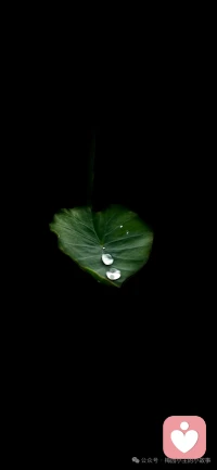 人生是不断克服自己惰性，不断战胜恐惧，不断探寻的过程，你可以求助很多人，也有很多人自愿帮助你，但归根结底，你还是要靠自己配图