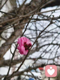 有人骂你，你若为此难受一天，就相当于他骂了你一天；你若记上一年，便是被他困住一年。真正的伤害往往不是来自言语本身，而是你允许它在心里反复回响。人生在世，不必活在他人的目光里——有些事不计较，不是软弱，而是把心力留给自己值得的生活。乌鸦的世界里，连洁白的羽毛都算一种错。