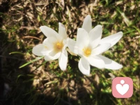 每一个让你情绪波动的人，不过是一面面映照内心的镜子。他们的出现让你看清自己执着于什么，恐惧着什么，逃避着什么，外境只是舞台，修行不是改变别人，而是在每一次相遇中诚实面对那个未被接纳的自己。