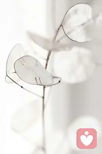 人生本就是一场单人旅行，很多路要自己走，很多苦要自己尝，很多情绪要自己消化。外界的安慰都是锦上添花，真正的救赎，从来都是自己给自己的。配图