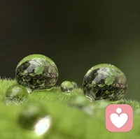 缓解焦虑最好的方法，
就是去行动。
想，都是问题；做，才有答案。配图