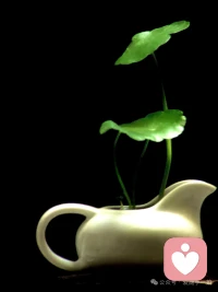 接纳一切，人生不会有完美的人。

我们有各种各样的毛病，所以我们要接纳伴侣也有毛病。我们有情绪，也要接纳伴侣也有情绪。

我们不能要求他（她）像一个完美的人，就像我不能要求自己完美一样。

孩子也是一样的道理。配图