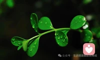 真正的破茧，从来不是一声惊雷，而是漫长黑夜里，一次次将被自己打碎的骨架重新拼接的寂静。配图
