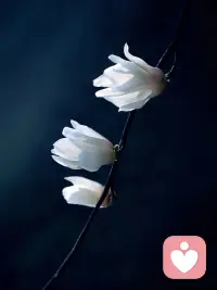 高能量的人有一个特质：看到事实的简单骨架，然后直面解决。过程中没有情绪的裹挟、创伤的激活、幻觉的干扰。