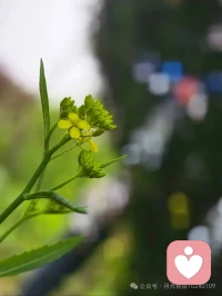 焦虑、迷茫的反义词，是具体。
请去做具体的事。配图