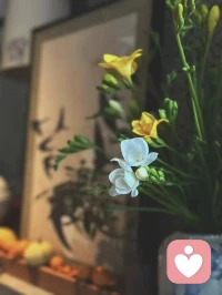 责任适度，无须苛尽。
相逢一笑是养心良药，
愁上眉梢是自伤钢刀。

——爱己 悦己 修己——配图
