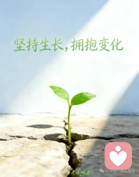 人生不可能总是顺心如意，但持续朝着阳光走，影子就会躲在后面。刺眼，却是对的方向。