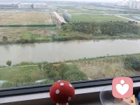 苏州美丽的环境，居家10分，美女如云。