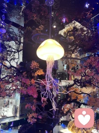 上海精致就餐环境！