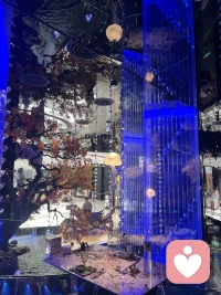 上海精致就餐环境！