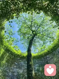活好当下！！配图