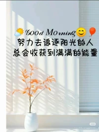 🍀万物需要阳光🌱生活需要方向，新的一天。用最美的姿态遇见更好的自己，加油哦