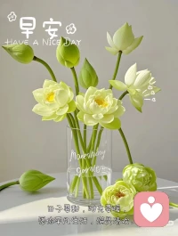 🔆| ᴍᴏʀɴɪɴɢ〰🍃花开不是为了花落，而是为了开得更加灿烂，早安，新的一天~不必行色匆匆，不必成为别人，做自己的太阳就好。配图