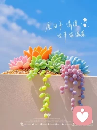 所遇皆美好，所遇皆溫柔～配圖