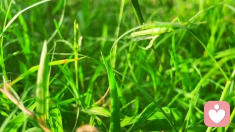 父母與青春期孩子如何相處