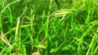 父母與青春期孩子如何相處