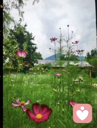 “這個世界我們只來一次，百年之后沒你也沒我。我們拼搏一生，帶不走一磚一瓦。我們執著一生，帶不走一絲愛恨情仇。人生苦短，所以吃你想吃的飯，見你想見的人，看你喜歡的風景，做你喜歡的事。”配圖
