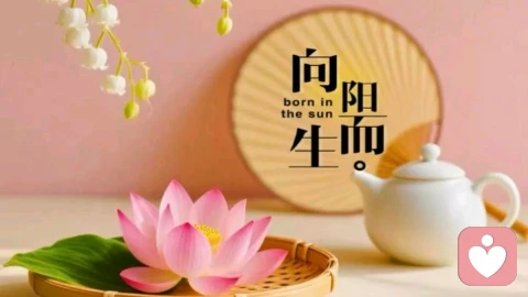 抛开烦恼,邂逅美好