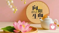 抛开烦恼，邂逅美好