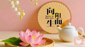 抛开烦恼，邂逅美好
