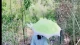无声回响