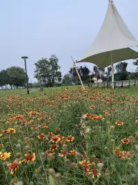 首先你要開心，其次是其次配圖