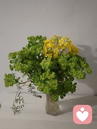 出門在外，不論別人給你熱臉還是冷臉，都沒關(guān)系。外面的世界，尊重的是背景、而非人本身。朋友之間，不論熱臉還是冷臉，也都沒關(guān)系。真 正的交情，交的是內(nèi)心、而非臉色。不必過于在意人與人之間一些表面的情緒。摯交之人不需要、泛交之人用不著。“情緒”這東西，你不在乎，它就傷不到你。配圖