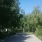21361595