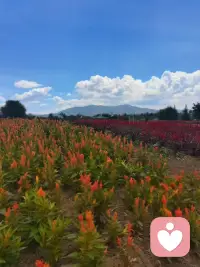 当你终于放弃了一个人品有问题的人，你才会明白失去才是一种幸福。那些彻夜难眠的夜晚和止不住的眼泪终于有了结束的那一天。假如你选择继续纠缠，那么你的未来就是你万劫不复的深渊。你要坚信，离开他就是你的正确选择。
