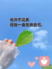 你可以有过一段糟糕的经历，但不可以过糟糕的人生。命运只负责发牌，洗牌的永远是我们自己。所有成功的美都伴随着自律，你的野心很大。所以你没有资格躺下。