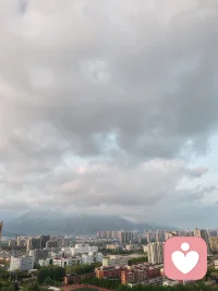 依赖任何人都是在慢性自杀，你要明白？大树底下无大草，它能为你遮风挡雨，也能让你不见天日。成年人的世界谁都靠不住，除非你有用