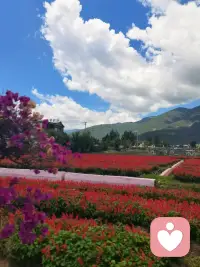 不要后悔你曾经的所有决定，即使做错了，你都不要后悔，因为在当时那个条件下，你的认知就决定了你只能做出那个选择，你人生所有的决定都是为你自己的认知而买单。所以，不念过往，不惧将来，活在当下，人生没有白走的路，每一步都算数。你脚下的这条路就是最好的。